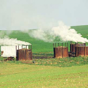 Wypalanie węgla drzewnego